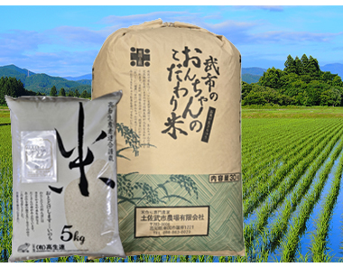 高知県南国市産武市さんのコシヒカリ